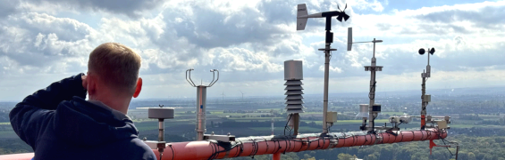 Testsite Wüstebach