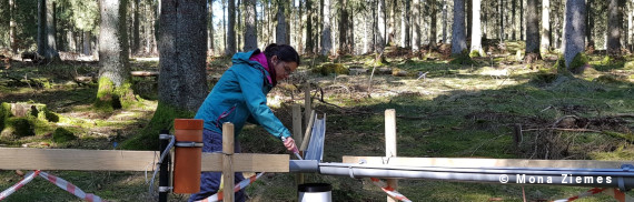 Testsite Wüstebach